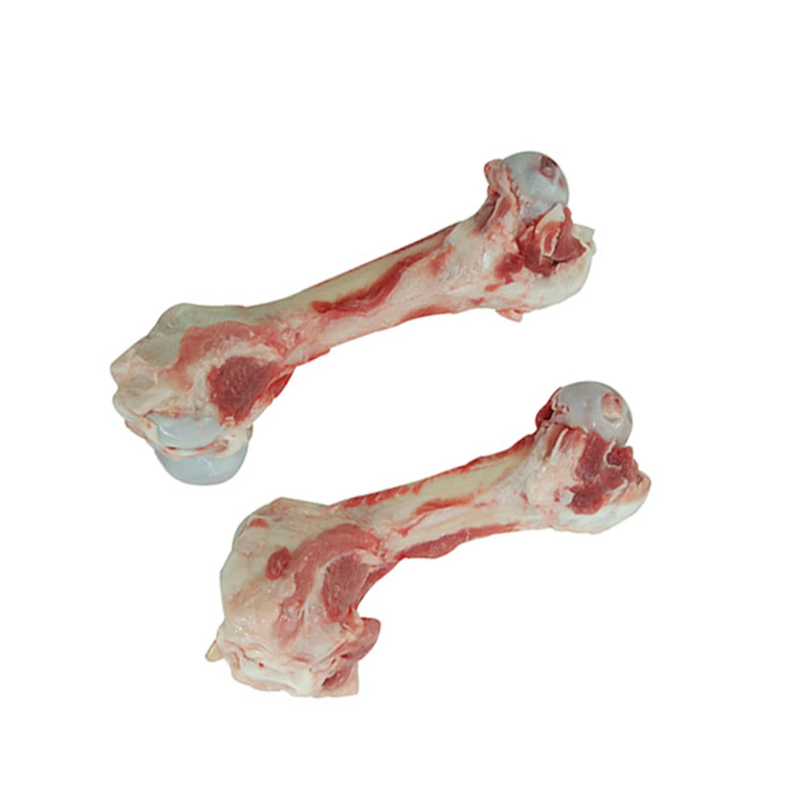 Origin Frozen Processing Fresh Pork Femur Meat Cheap Frozen Meat Halal Pork Meat Buy Frozen Pork Femur Directly Sale for   Sale
