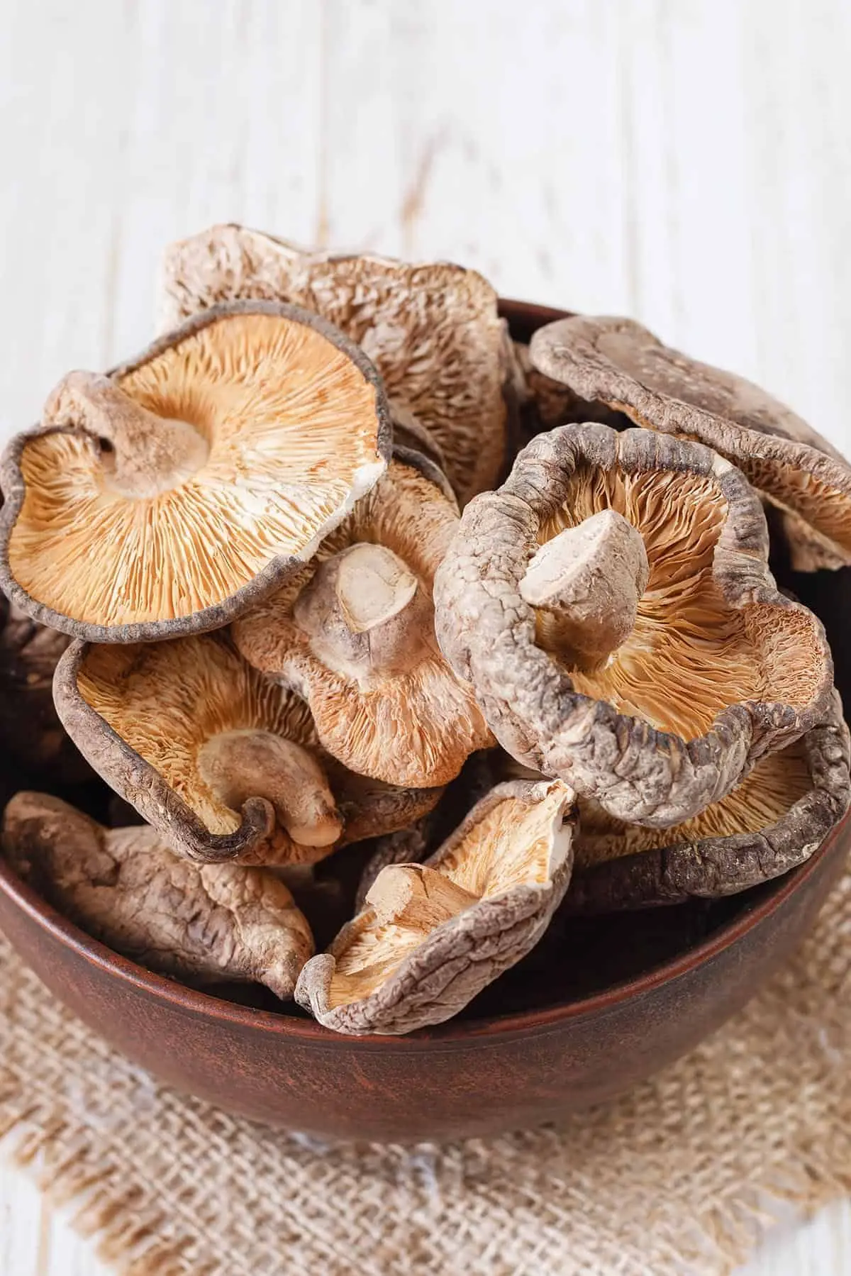 FRESH  MUSHROOM CREATE DRIED MUSHROOM or CANNED MUSHROOM