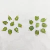 Peridot
