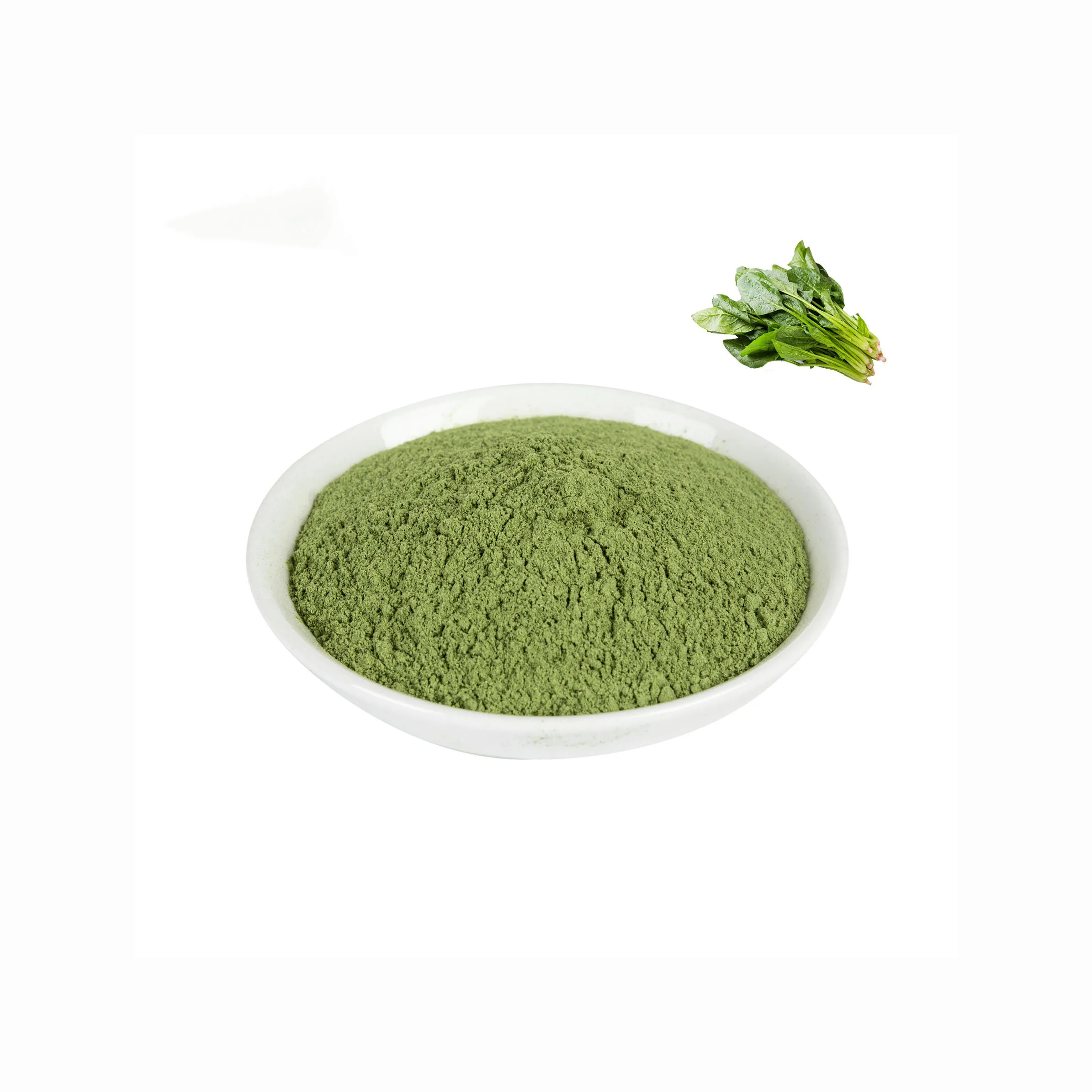 Vegetable Powder Spinach Extract Spinach Powder Buy Dry Organic