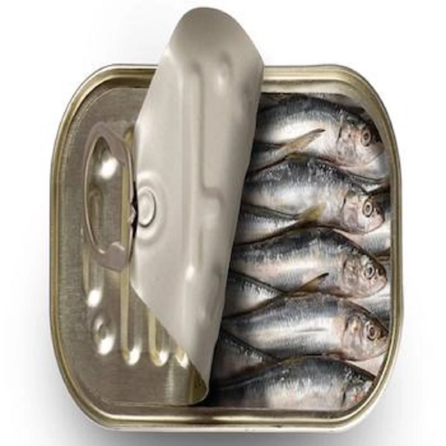 Wholesale Sardine Canned Fish Sardine With Tomato Sauce Buy Sardine,Canned In Vegetable Oil