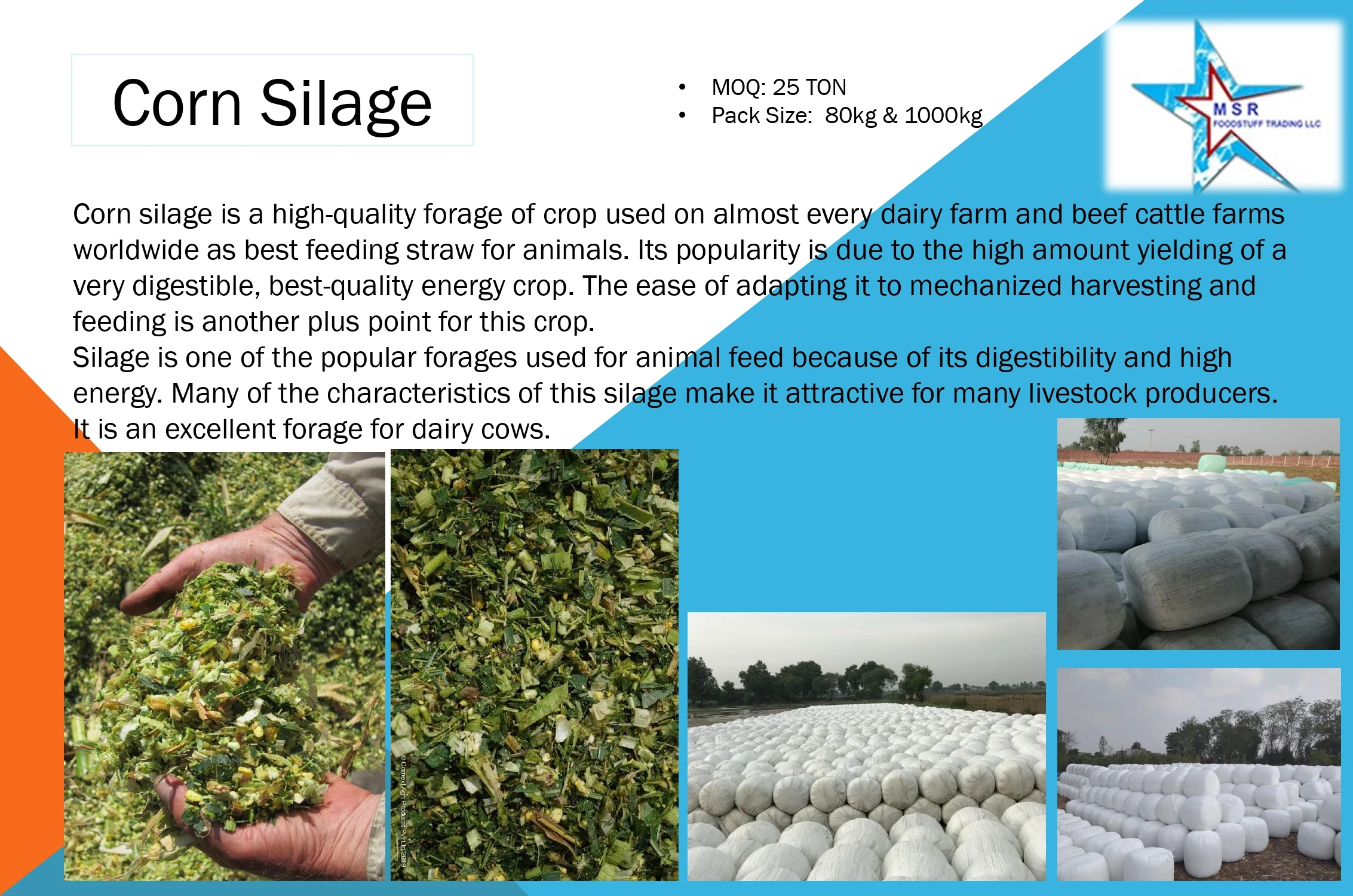 Alfalfa Hay For Animal Feed At Wholesale Price Alfalfa Hay Buy Alfalfa Hay Animal Feed Wheat