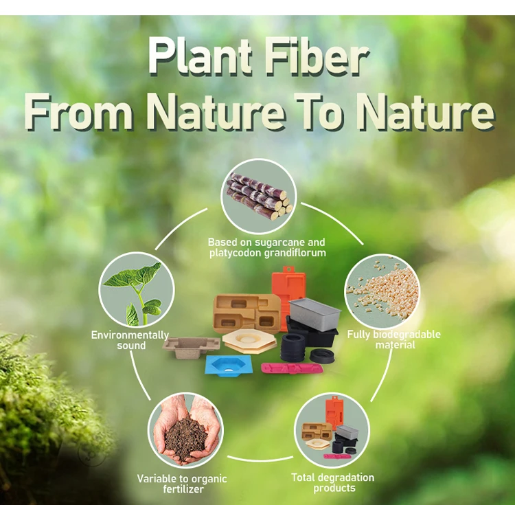 Vietnam Paper Pulp Insert Manufacturer Eco Friendly Product Packaging