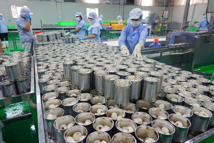 Best Selling Flavor Lychee Canned Foods From Bac Giang Province Vietnam