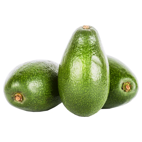Wholesale Fresh and Frozen Top Grade Avocado Fruits at Good Price