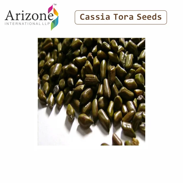 High Quality Cassia Tora Seeds Vegan and Ashwagandha Fenugreek and Black Pepper Granule Shape Dried Through AD Process