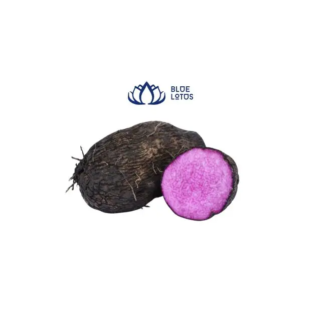 Exporting From Vietnam With Best Price for Purple Yam