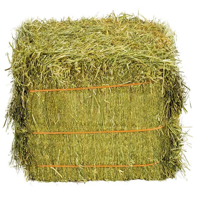 Bulk ALFAFA HAY READY for SUPPLY/ Alfalfa hay with High Protein for Animal Feeding in Bulk