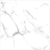 Statuario Venato