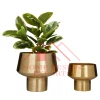 Antique Brass