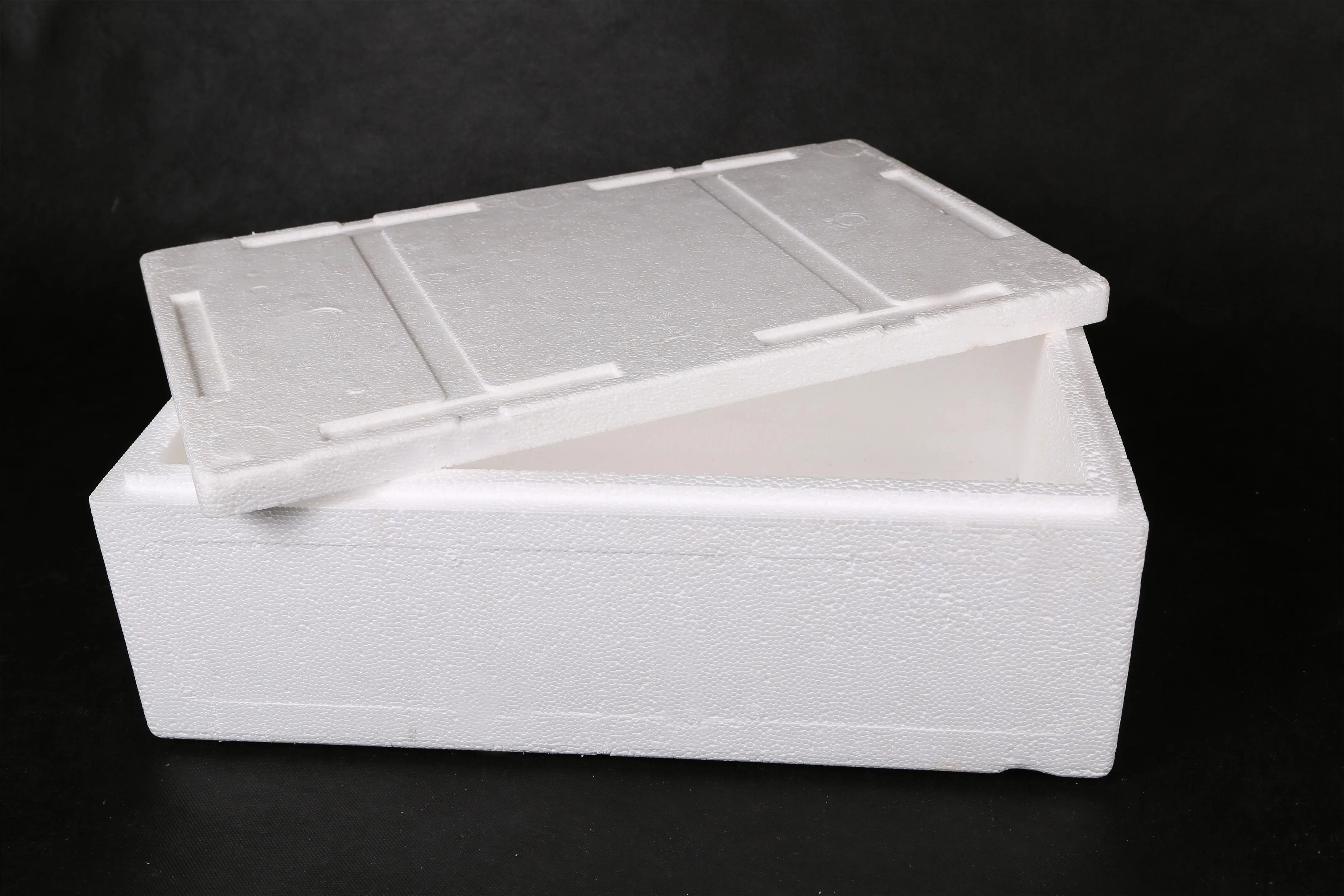 Expandable Polystyrene EPS Foam Panel Blocks Insulation Brick ICF Blocks Building System Fish Box Shape Machine EPS Foam Machine