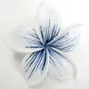 B08 : Sea Breeze