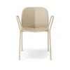 Tortora Frame - Tortora Shell