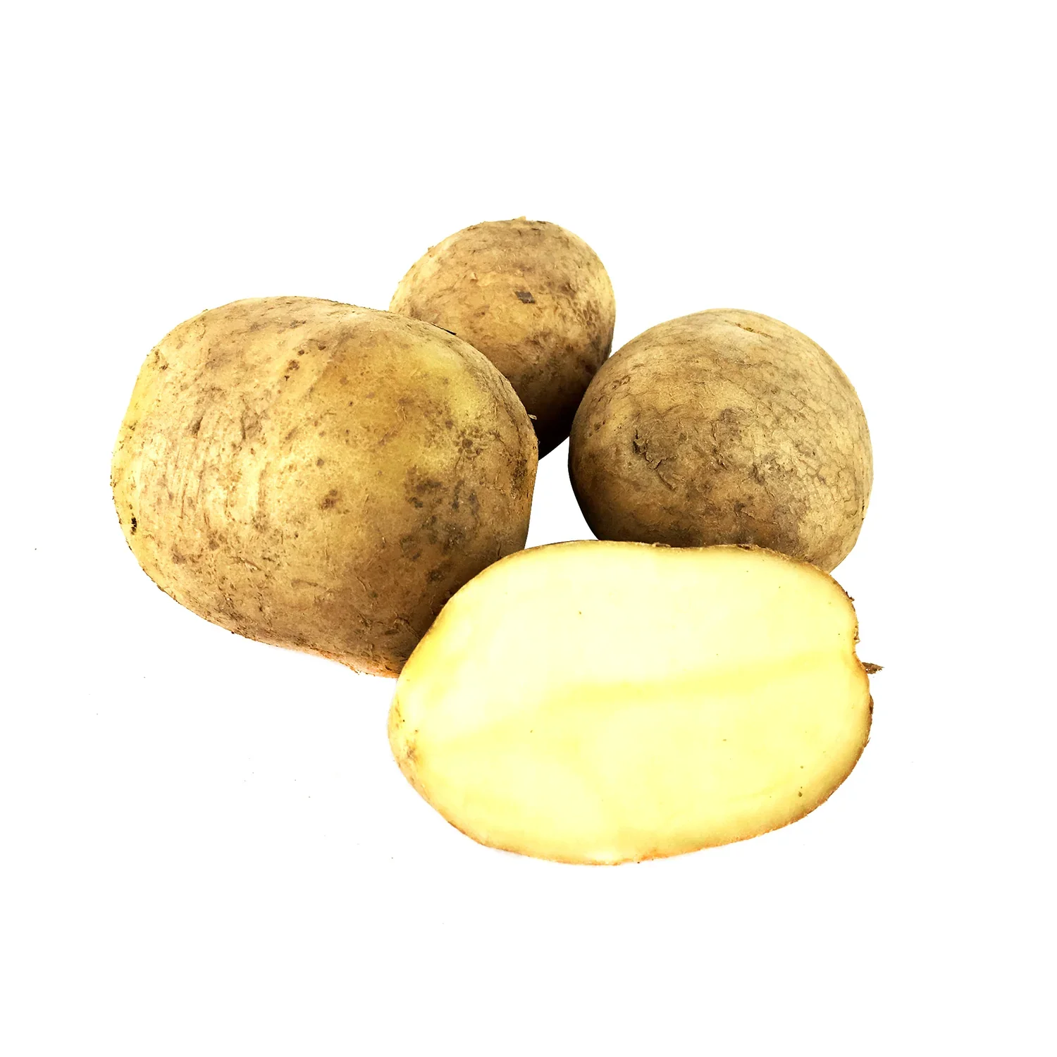 Fresh Potato/new Crops Diamond Potatoes / Russet Potatoes Supplier ...