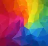 MULTICOLORE