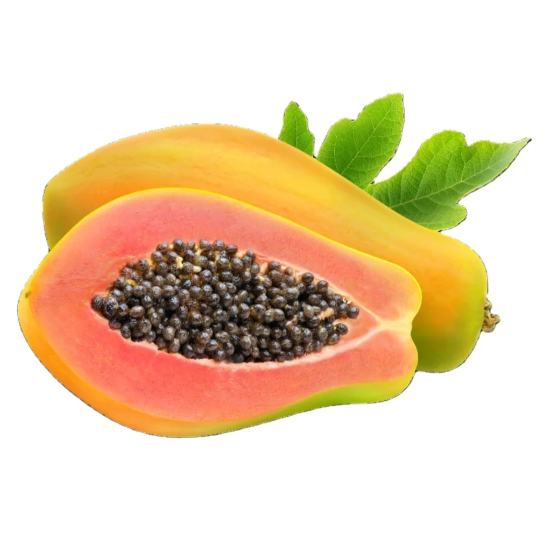 Райская и привлекательная неотразимая свежая папайя овальная свежая папайя Вьетнам для оптовика и покупателя