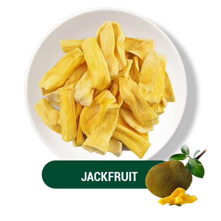 Hot Export 2024 Dried Jackfruit Chip With Competitive Price Buy