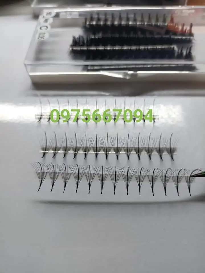 Pointy Base Short Stem Long Stem 3d 5d 6d Wispy Premade Fan Eyelash