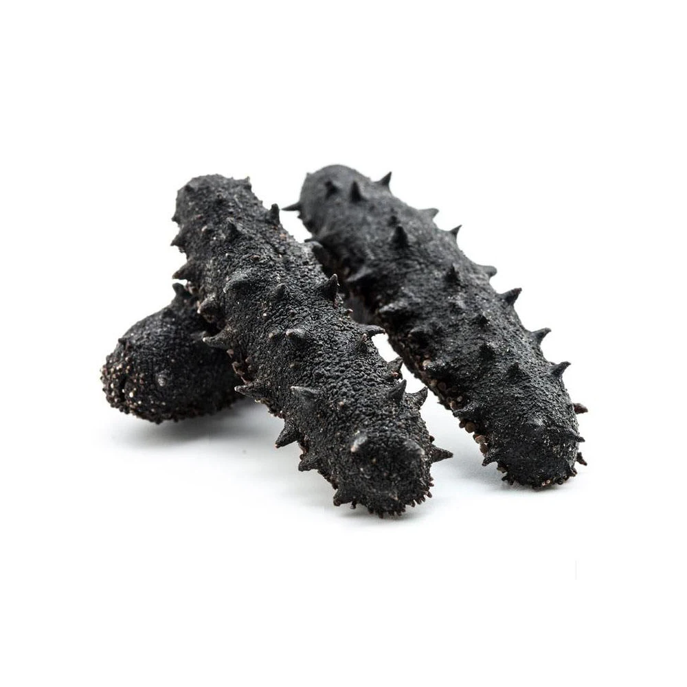 Wholesale High Quality dried sea cucumber buyers dry sea cucumber Cheap Price