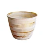 White/Gold