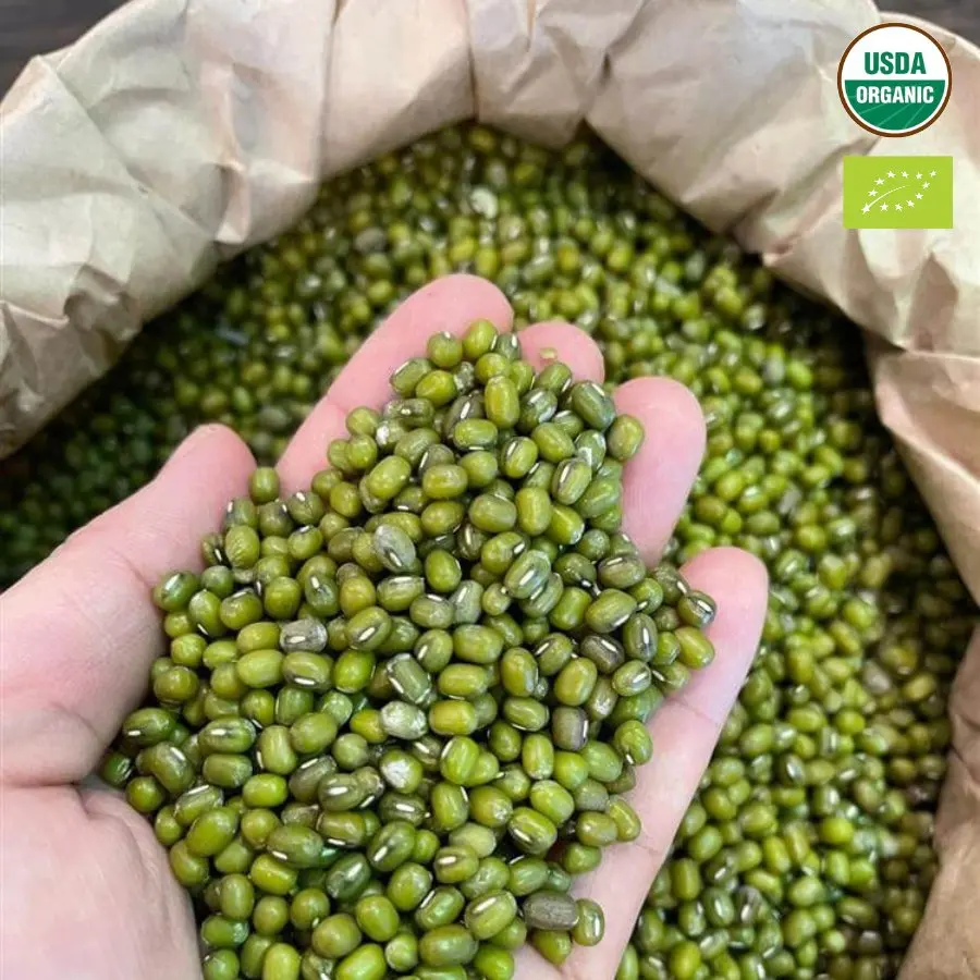 Лучший продукт из натуральных Мун-бобов зеленый // премиум-мунг сделанный во Вьетнаме