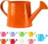 Color-C