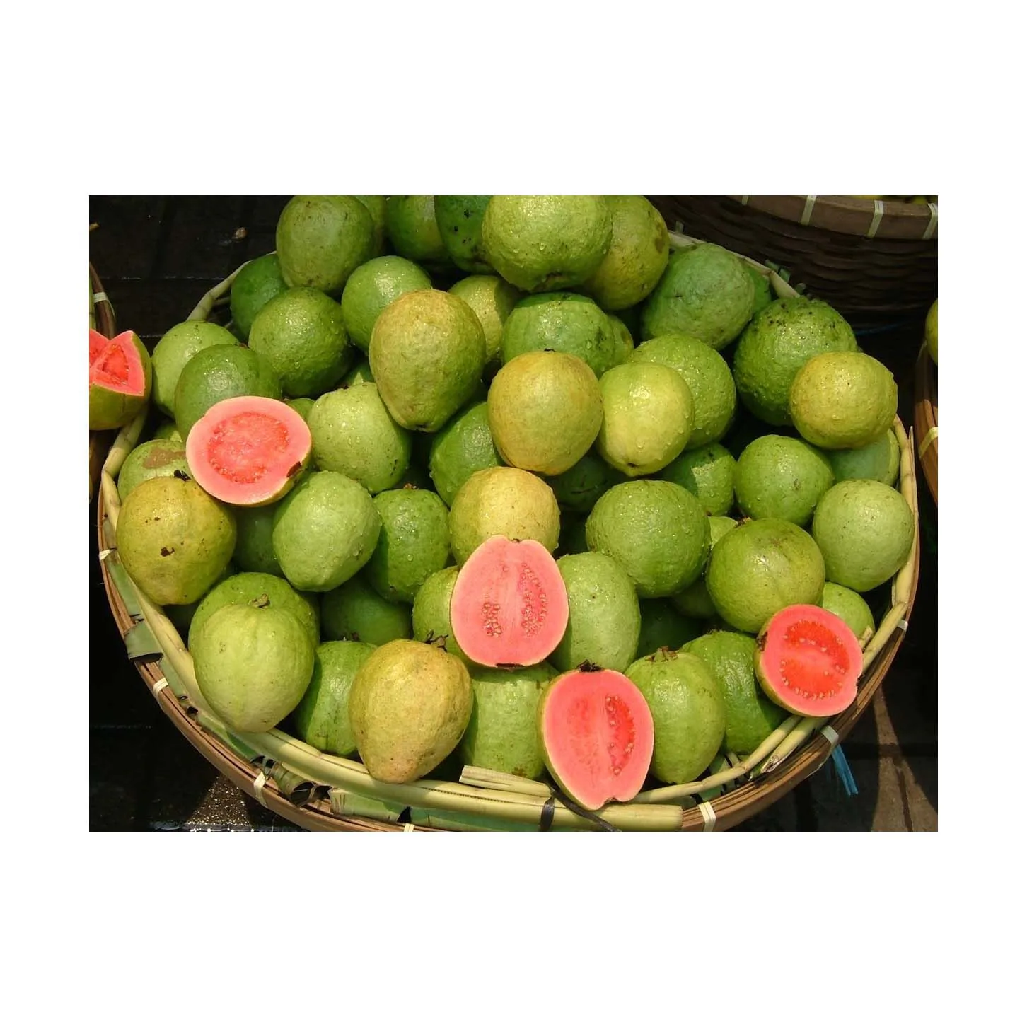 Top Quality Good Taste Fresh Fruit Guava For Wholesale Purchase Fresh
