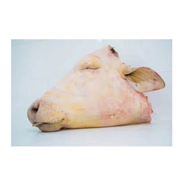 RAW FROZEN BEEF HEAD Hot Sale Competitive Price Factory Made Premium Quality