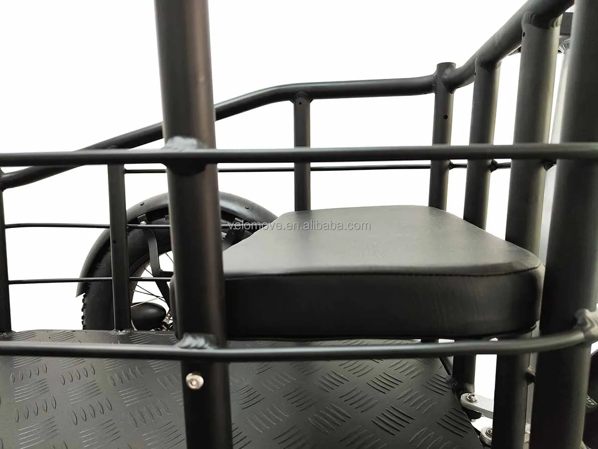 New Design 48v 750w 3 Wheel Electric Bicycle Three Wheels Adult Cargo