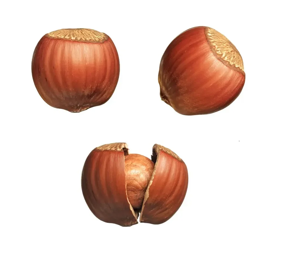 H24f38c3f5.jpg