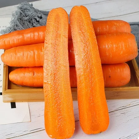 Best Price Carrots for Wholesale Export Natural Fresh Carrots