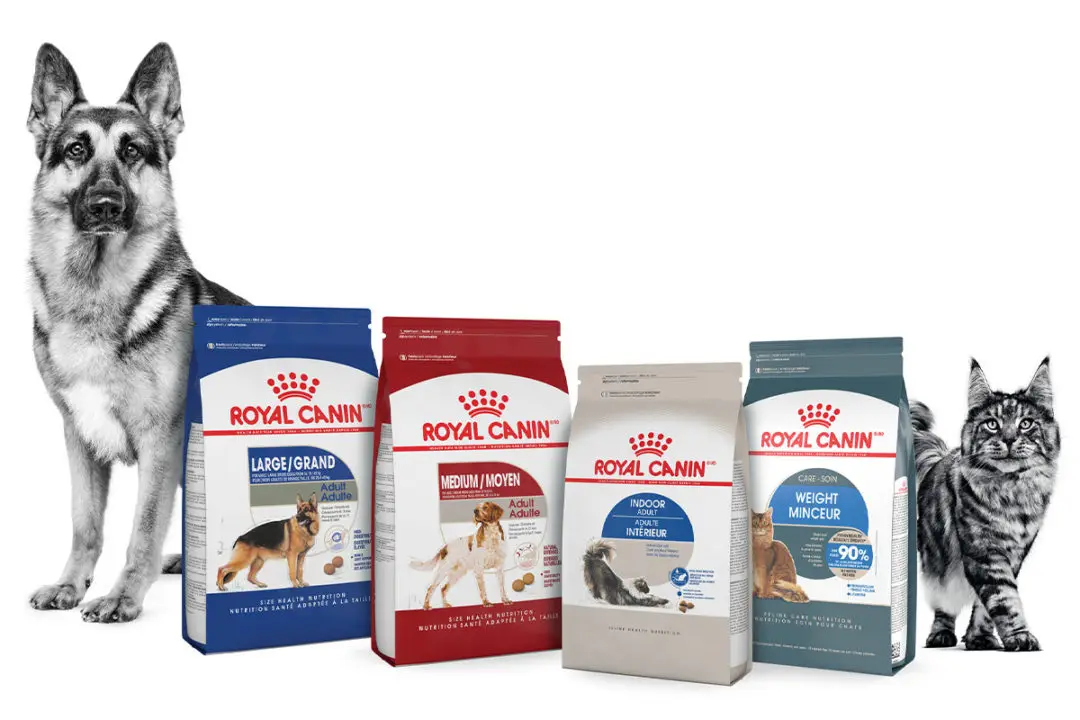 Wholesale Royal Canin /cat /dog Food - Buy Dry Cat Food Pet Food Dog Food  Product on 