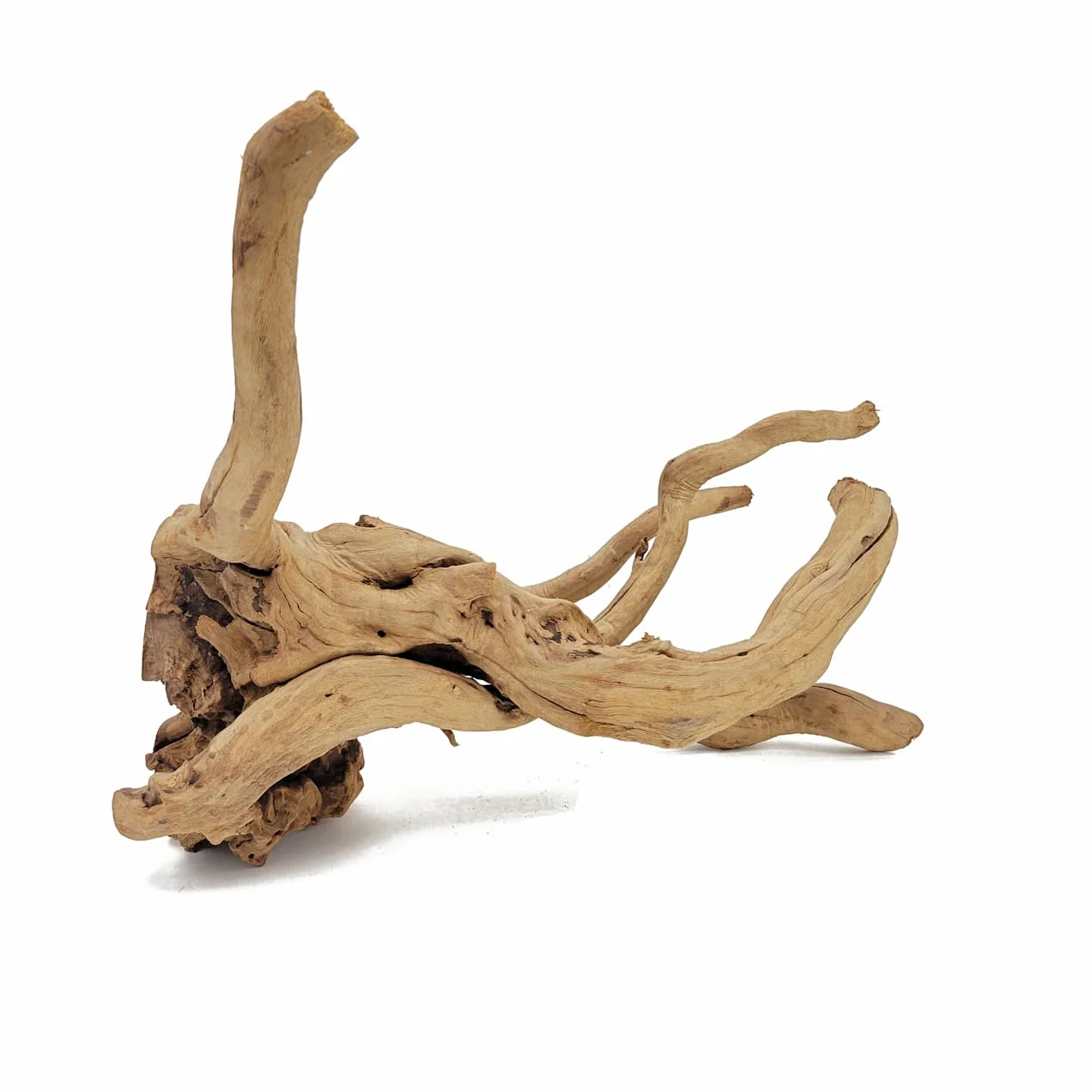 Fish Tank Driftwood Natural Sunken Wood Tree Trunk Branch For 