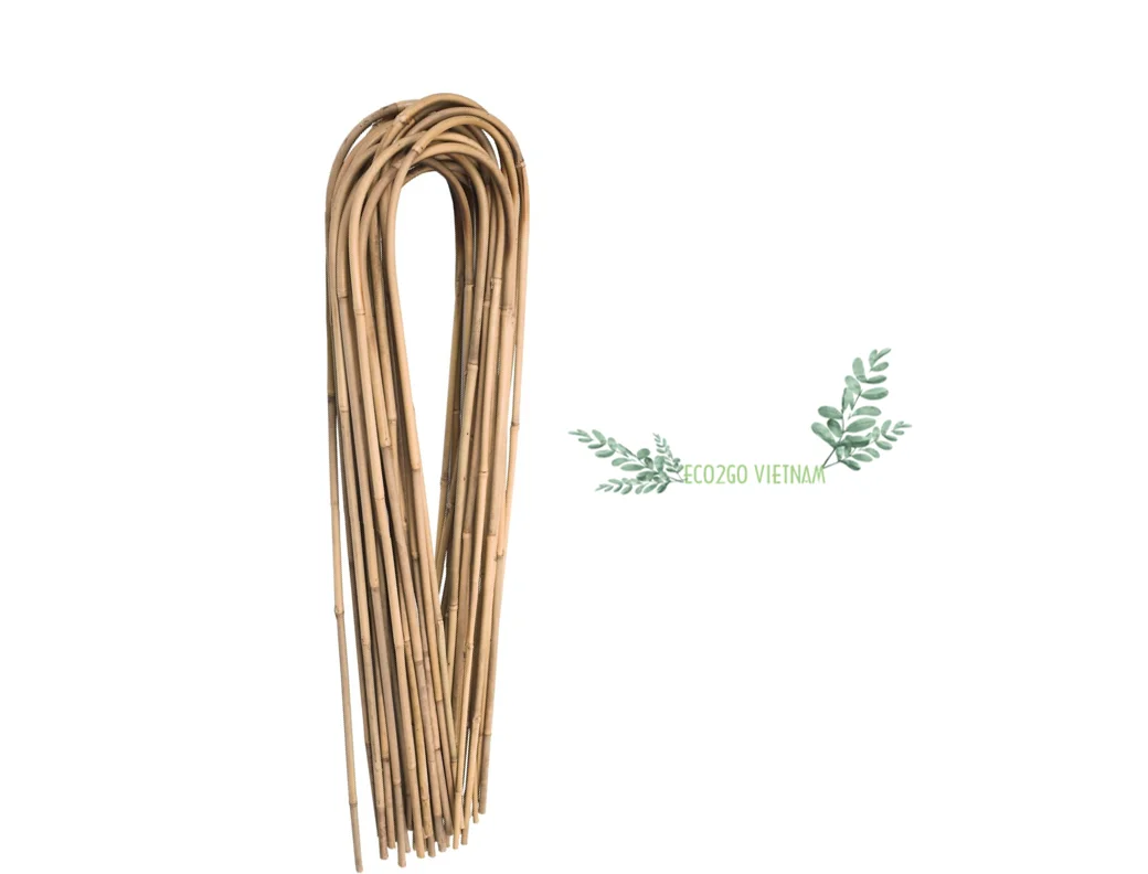 100% натуральная устойчивая Гибкая бамбуковая палочка для сада/бамбуковая поддержки растений сельского хозяйства сделано в