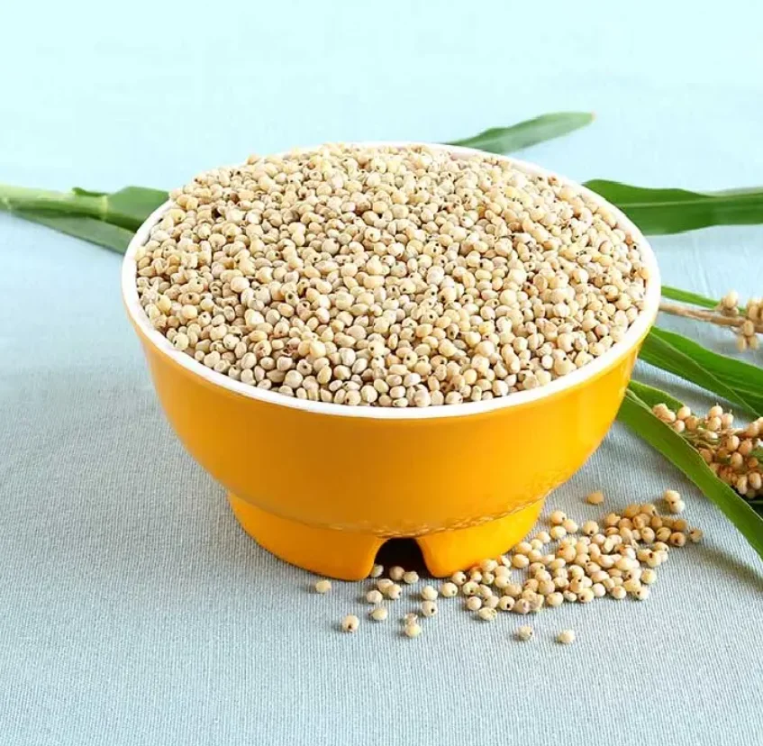 2023 Sorghum White Milo Sorghum Grains Sorghum Price Per Ton For Sale ...