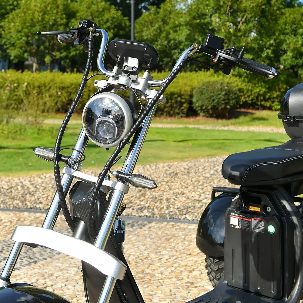 OEM ODM Custom Logo Available EHoodax 05WQ Electric Tricycle 18-Inch Fat Tire Closed Cargo Use 2000W Motor 30-50km/h 30-50km