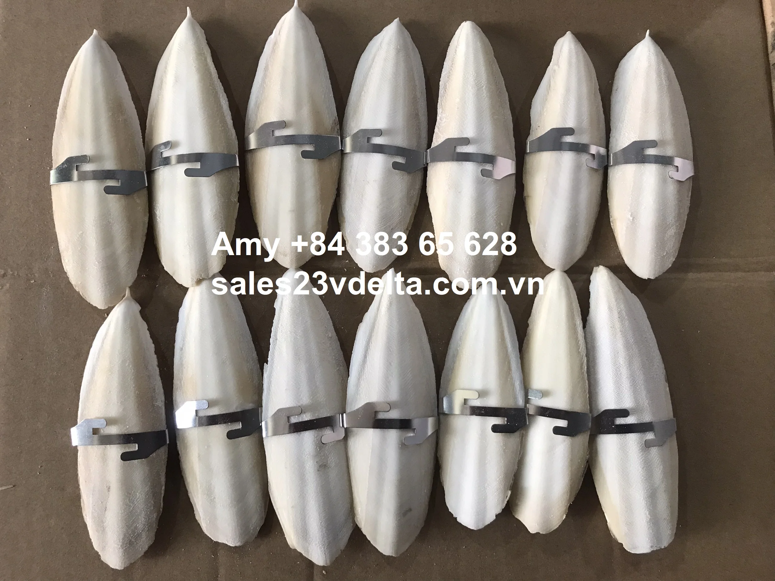 Dried Cuttlefish Bone/ Cuttle Bone/ Sepia With Very High Calcium