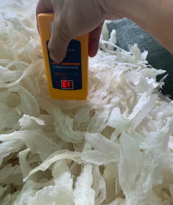 Dried Fish Maws High Crispy Texture And Full Of Nutrition Buy Fish