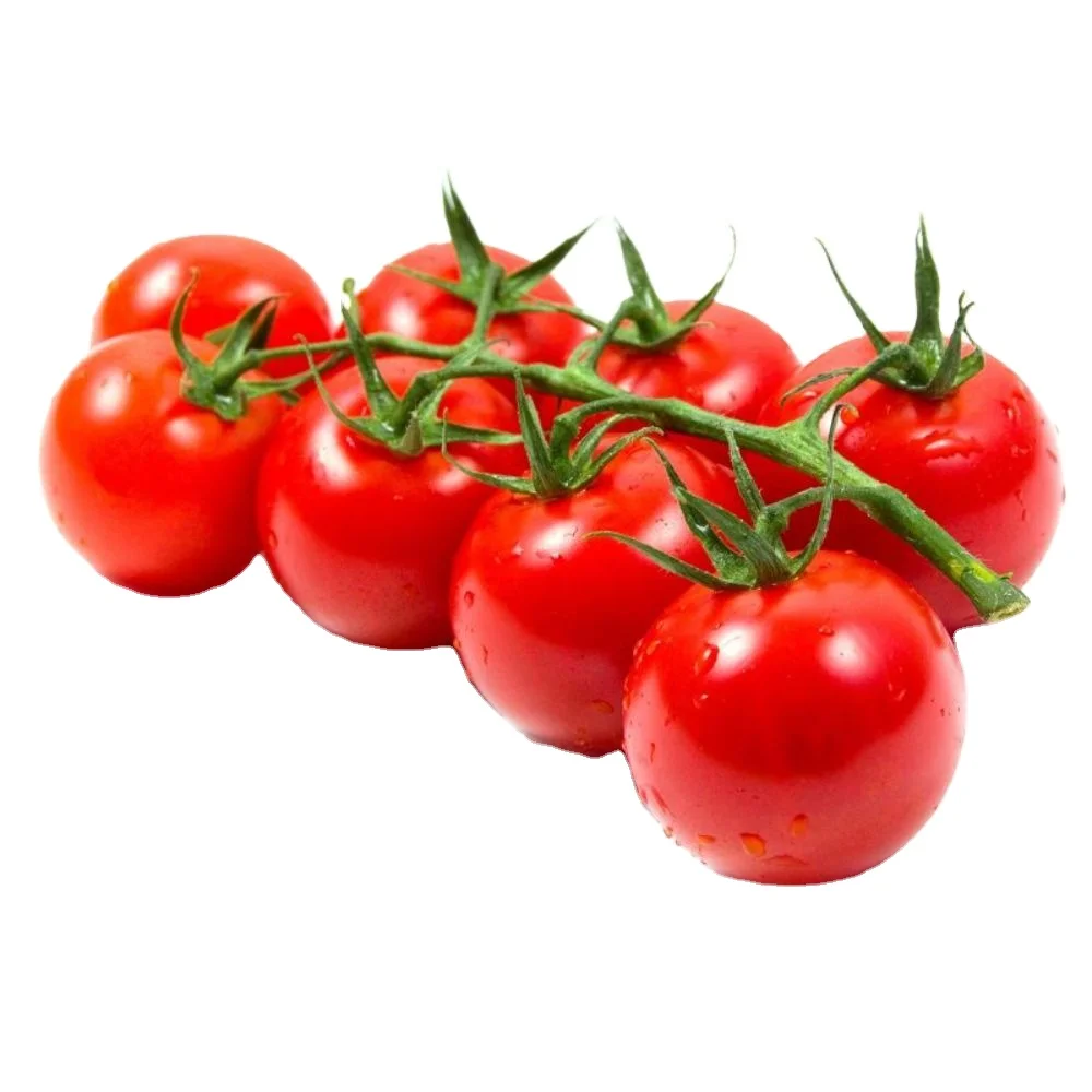 Новый сезон, вкусные свежие томаты из говядины/помидоры-вишни/свежие помидоры из Вьетнама на продажу