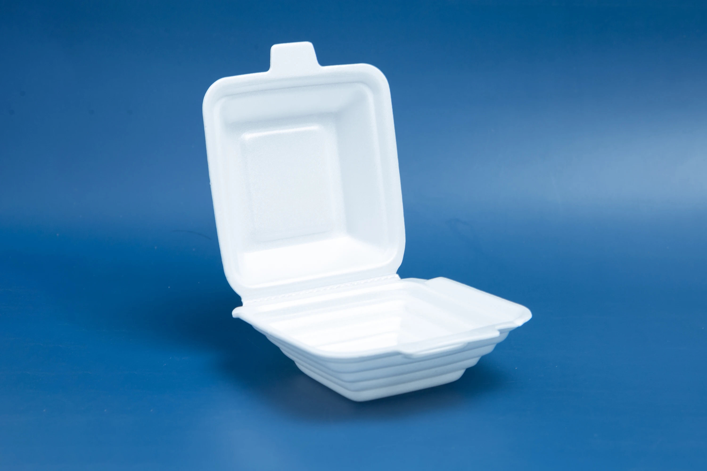 Oem Disposable Ps Foam Food Container Take Away Box Eco-friendly ...