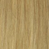 Golden Extra Light Blonde