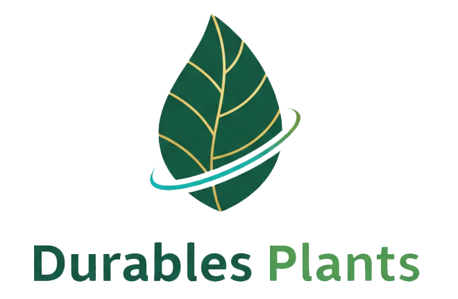 Durable plants sarl