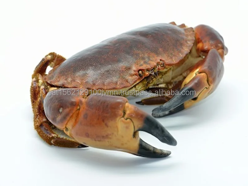 Whole Giant King Crab Legs For Sale Online - Buy Crab For Sale Near Me