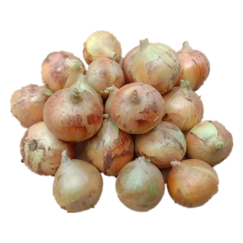 Food Grade Yellow Onion Price Ton on Fresh Red Onions for Sale by Onion Suppliers at Affordable Prices Anytime .