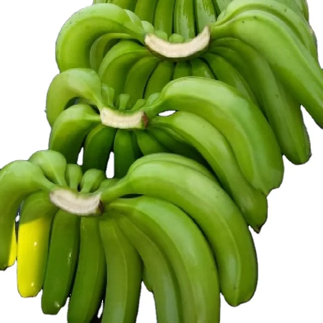 222 (1).png