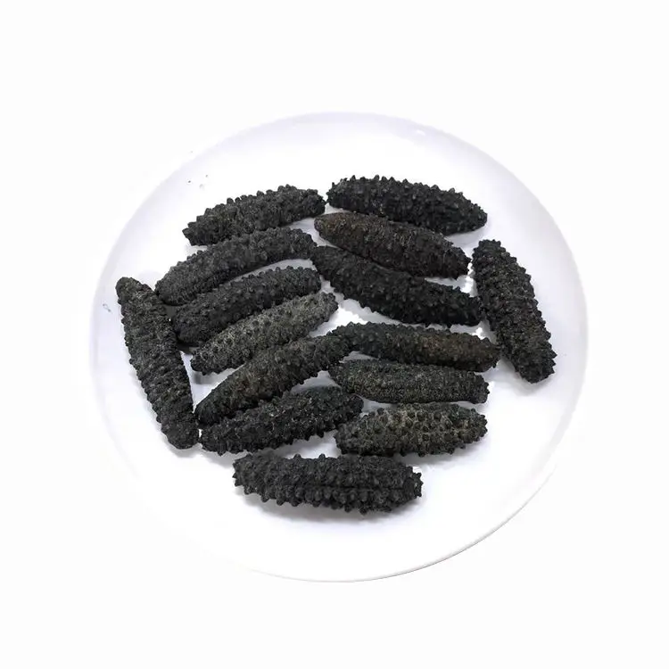 Bulk Dried Sea Cucumber/ Sea Cucumber For Sale Buy Dried Sea Cucumber