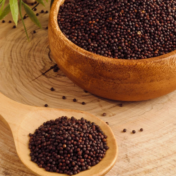 canola seeds (7).jpg