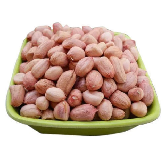 Peanut Organic Protein Seed Jumbo Peanuts Groundnuts Raw Peanut Kernel