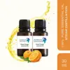 Yellow-red through to orange-brown liquid