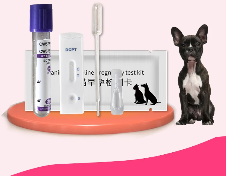 Pet Health Early Pregnancy Test Card For Dogs And Cats Buy Pregnancy